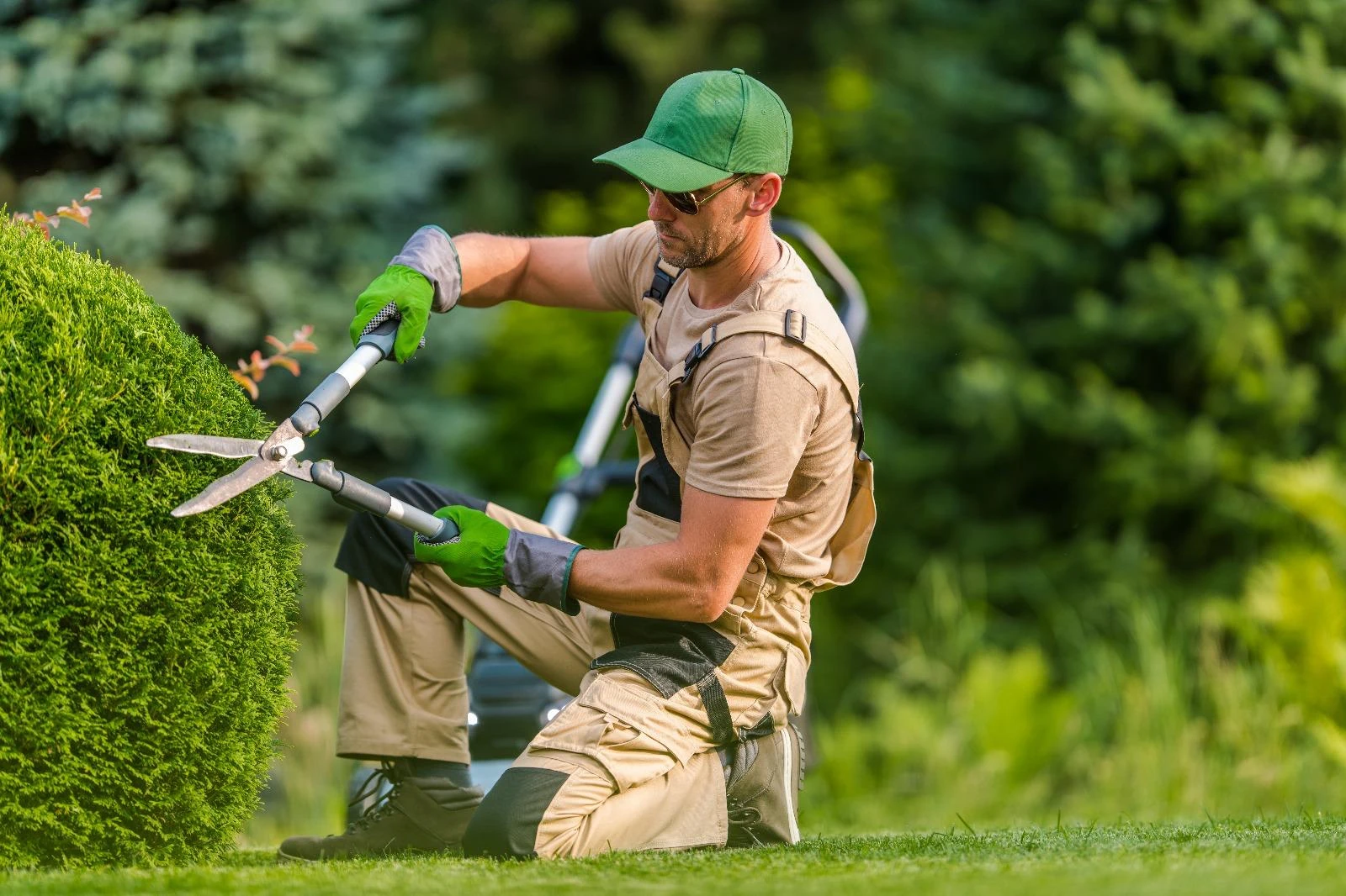 cutting edges of tree