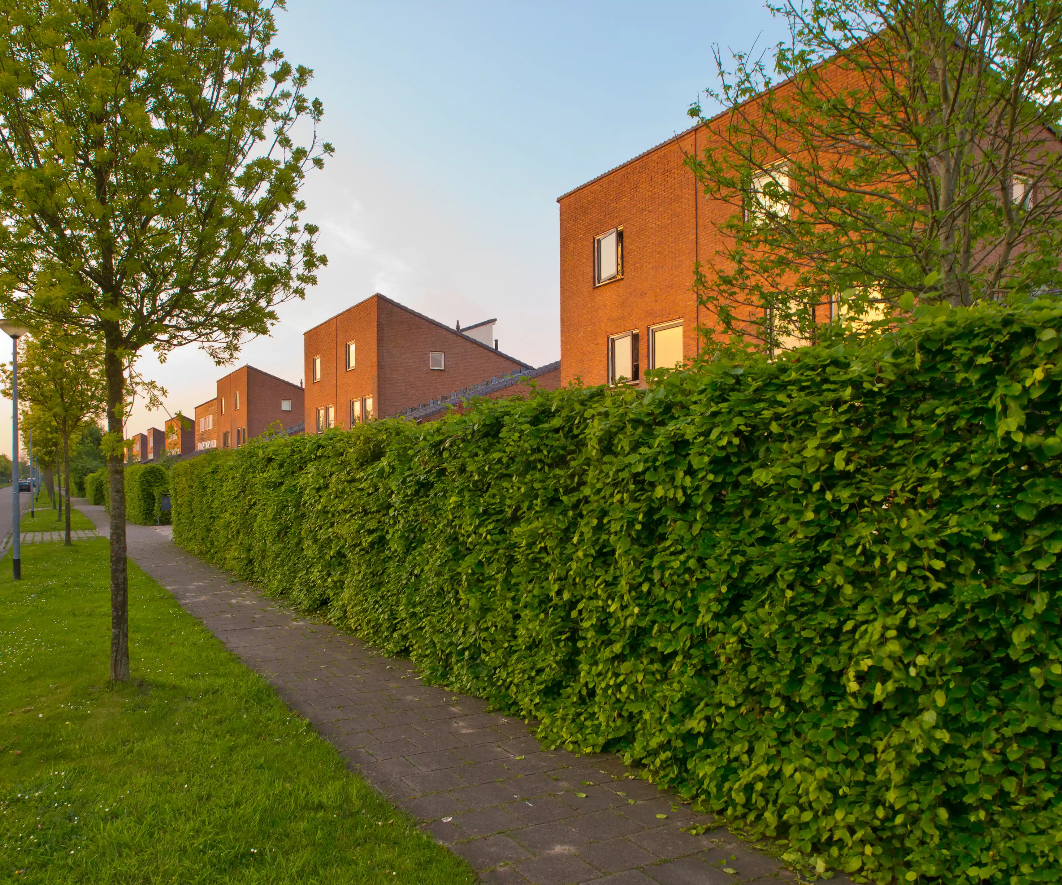 grass-wall