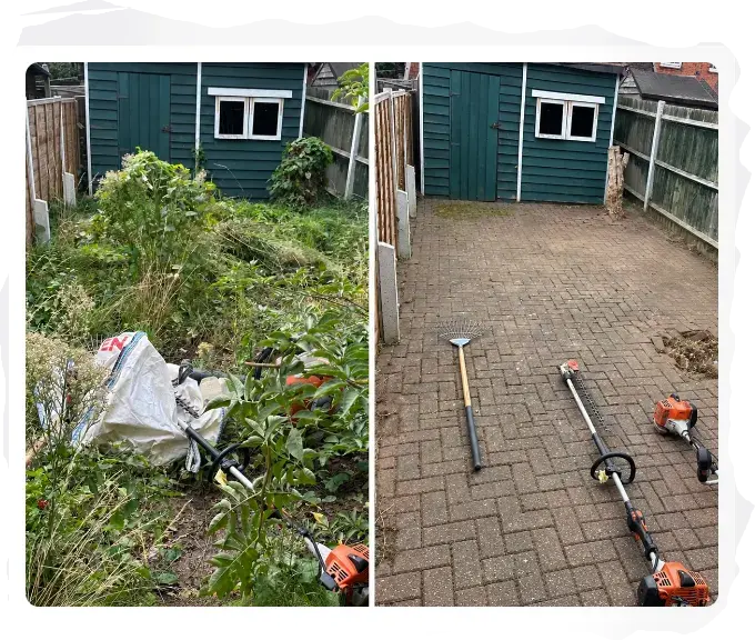 Two garden views with overgrowth and paving