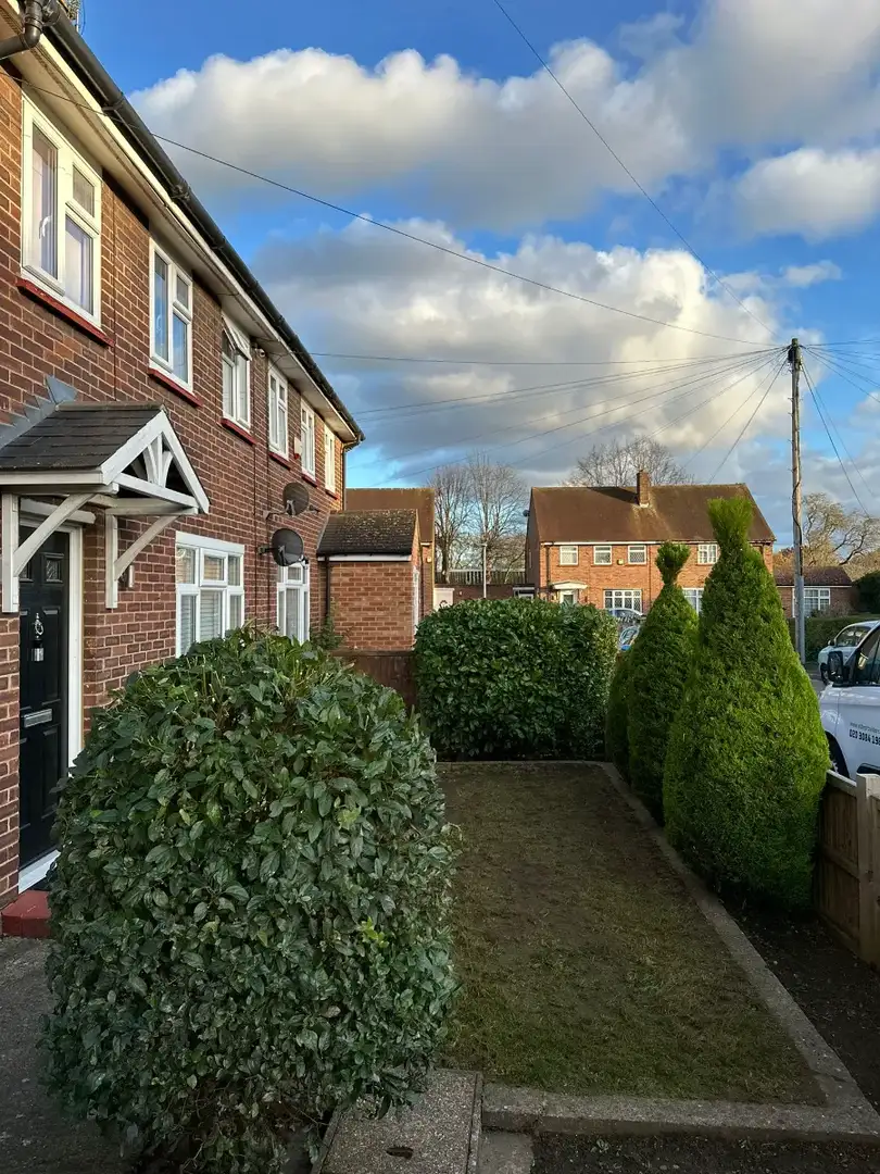 Terraced houses beside a narrow planted path