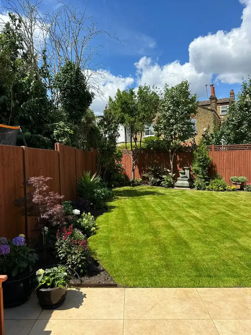 Lawn bordered by pots and garden planting