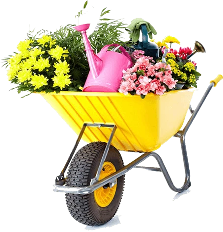 cart of flower