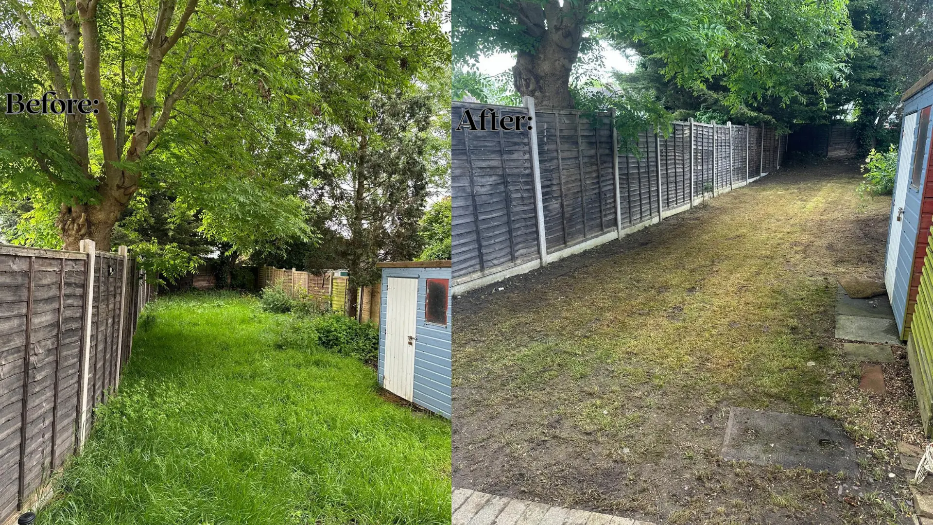 before-after